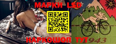 гидра Ставрополь