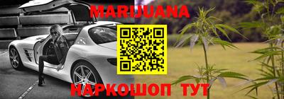 гидра Ставрополь