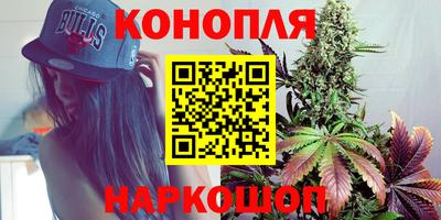 гидра Ставрополь