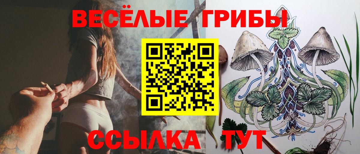 Галлюциногенные грибы Magic Shrooms Острогожск