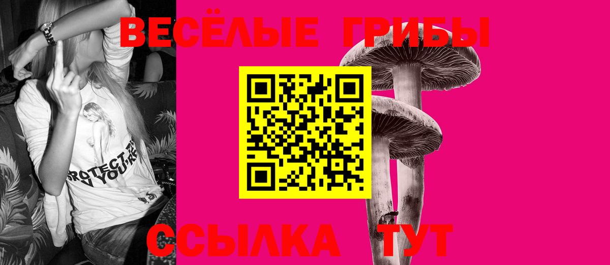 Псилоцибиновые грибы прущие грибы  Вход с VPN  Острогожск 